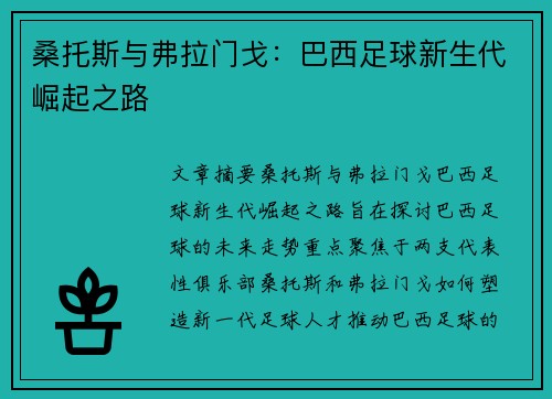 桑托斯与弗拉门戈：巴西足球新生代崛起之路